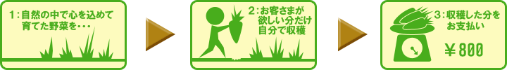 畑の八百屋さん購入の流れ
